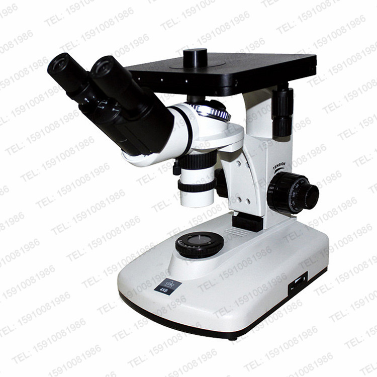 FCM5100W三目倒置金相显微镜